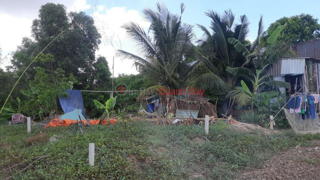 ₫ 320 Million BEAUTIFUL LAND - GOOD PRICE - OWNERS Need to Sell Beautiful Land Plot Urgently Location in Binh Chanh District