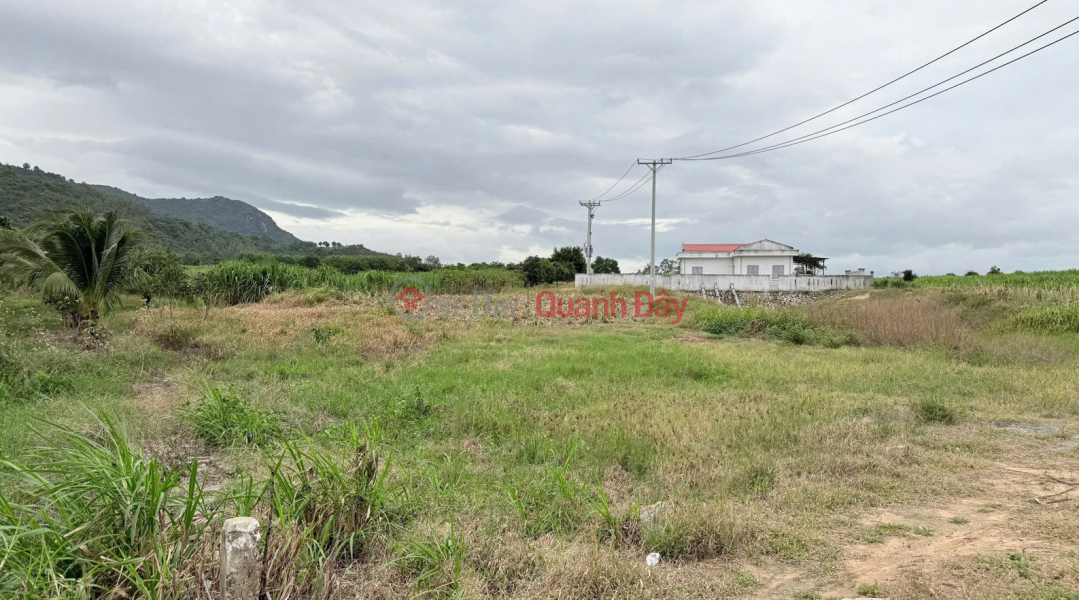 Property Search Vietnam | OneDay | Nhà ở | Niêm yết bán Chính chủ bán nhanh lô đất tại xã Cam An Nam, Cam Lâm, Khánh Hòa