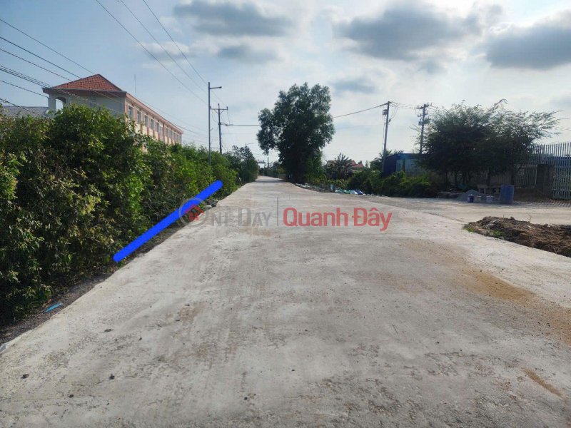 Property Search Vietnam | OneDay | Nhà ở Niêm yết bán, Chính Chủ Bán 2 Lô Liền Kề - SỔ HỒNG RIÊNG - Ấp 3 Xã Tân Đông, Huyện Thạnh Hóa, Long An