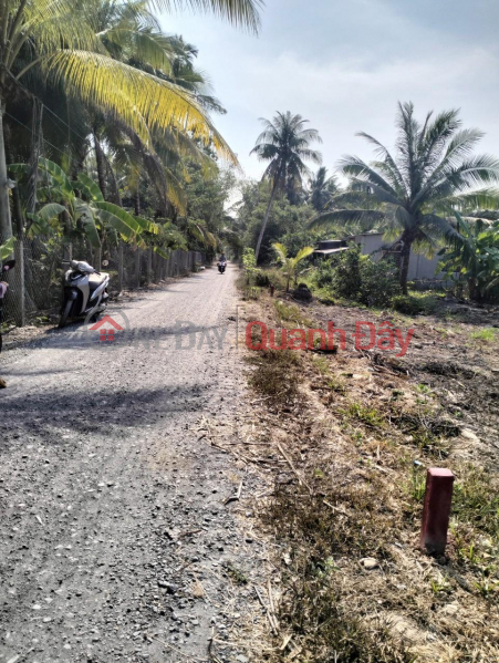 đ 350 Million Owner Needs To Sell Beautiful Land Lot In Phu Quy Hamlet, Vinh Huu Commune, Go Cong Tay District, Tien Giang