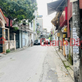 biệt thự sân vườn Ngọc Thụy, 190m x 4 tầng, mặt tiền 7.6m, ôtô tránh, nở hậu _0