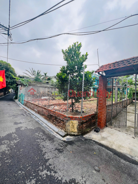 Bán Đất Thọ Đa Kim Nỗ, Đông Anh Giá 6X/m2 ngõ thông ô tô _0