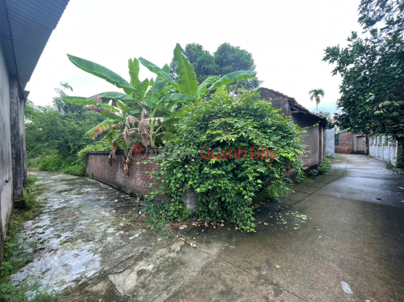 Property Search Vietnam | OneDay | Nhà ở Niêm yết bán CHỈ NHỈNH 900 TRIỆU – ĐẤT ĐẸP PHÚC THỌ – SỔ SẴN SANG TÊN NGAY
