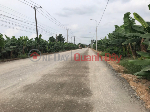 5x30m PLASTIC ROAD FACTORY full residential area _0