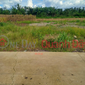 The owner needs to sell a 125m2 full residential plot of land in Gia Tan 2 commune, Thong Nhat _0