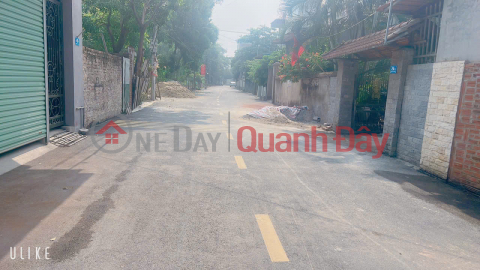 LAND FOR RENT IN MAI NOI MAI DINH SOC SON DISTRICT, AREA 90 M, RESIDENTIAL LAND, 6 M WIDE ROAD, READY TO MOVE IN, PRICE IS ONLY OVER 3 BILLION _0