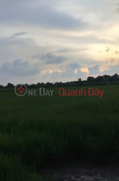 Property Search Vietnam | OneDay | Residential, Sales Listings, BEAUTIFUL LAND - GOOD PRICE - OWNER FOR SALE At Canal TD6, Song Chinh Hamlet, Kien Luong Commune, Kien Giang