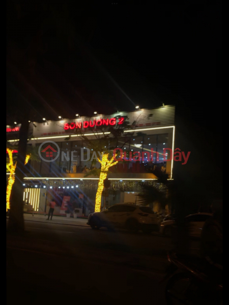 Son Duong 2 Restaurant Da Nang (Nhà hàng Sơn Dương 2 Đà Nẵng),Hai Chau | (2)