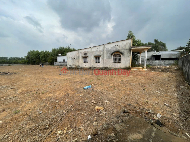 CHÍNH CHỦ bán đất Bàu Cạn, Long Thành, Đồng Nai- 4.381m2, có 300m thổ cư, còn lại là CLN Niêm yết bán