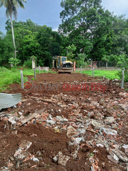 Property Search Vietnam | OneDay | Residential Sales Listings PRIME LAND FOR OWNER - GOOD PRICE - For Quick Sale Land Plot In Village 10, Duc Tin, Duc Linh, Binh Thuan