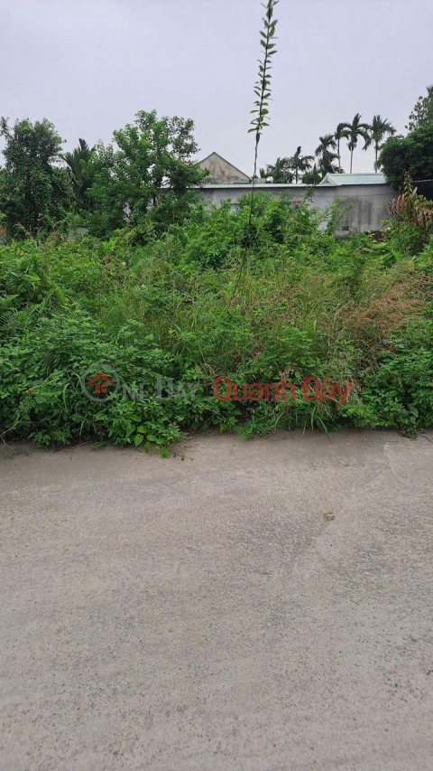 Lô rẻ hiếm Quyết Tiến – ô tô tránh chỉ 9xx triệu ZALO 0567 222 555 _0