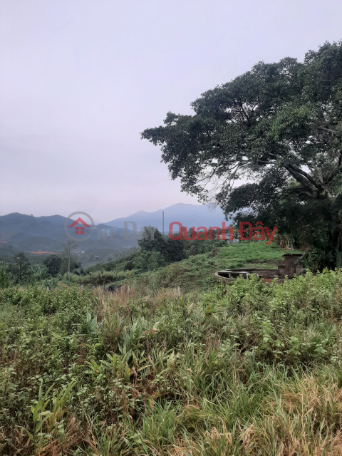 FOR SALE OF LAND IN BAO LOC - LOC THANH - LAM DONG - 0984 96 70 76 _0