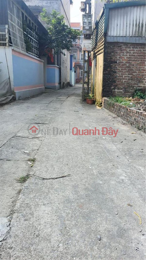 More than 1 billion owns beautiful Dong Anh land with shallow alleys _0