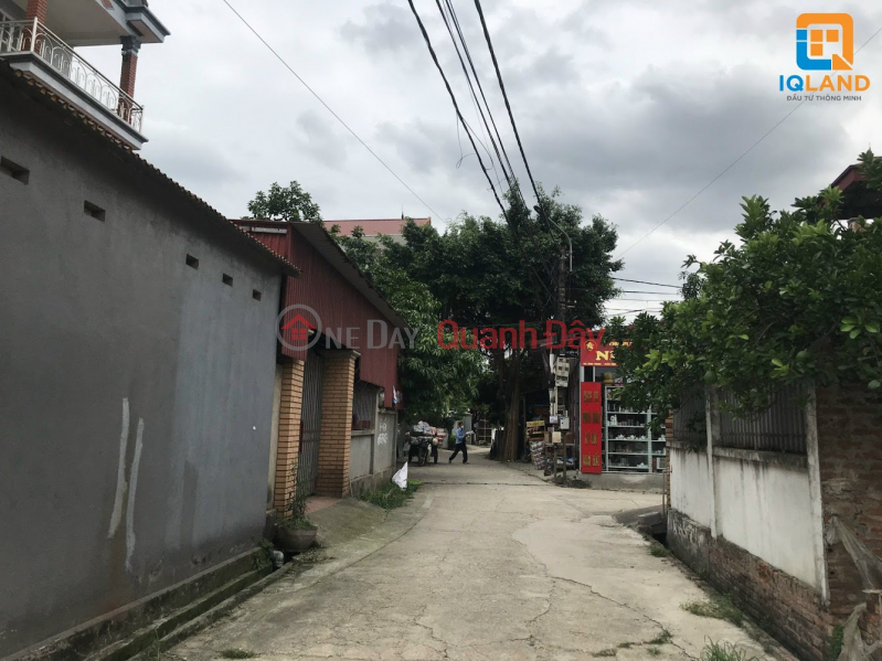 Property Search Vietnam | OneDay | Nhà ở Niêm yết bán Chỉ 947tr, 41.2m2 Đình Trung Xuân Nộn Đông Anh