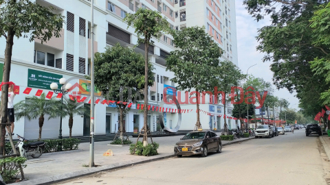 165m2 Penthouse apartment at Window River Park, Co Loa. Rare garden view. Price only 5x million VND\/m2. Cheapest in Hanoi. _0