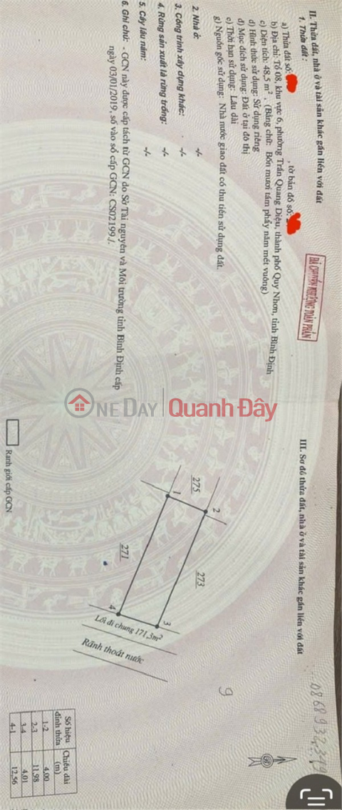 BEAUTIFUL LAND - OWNER For Sale At Tran Dai Nghia, Tran Quang Dieu Ward, Quy Nhon City, Binh Dinh _0