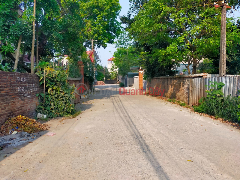 LAND FOR SALE WITH 2 STORY HOUSE FREE __%______ At Xuan Sen - Thuy Xuan Tien Area 176m - 100m residential Located on | Vietnam Sales ₫ 1.65 Billion