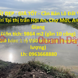 BEAUTIFUL LAND - GOOD PRICE - Land Lot For Sale Location In Hoi An town, Cho Moi, An Giang _0