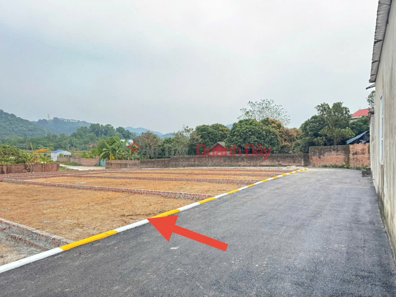 Property Search Vietnam | OneDay | Residential, Sales Listings, 102m² land for sale in Phu Thinh, Minh Phu, Soc Son. An opportunity to own an ideal plot of land for a vacation home or residence.