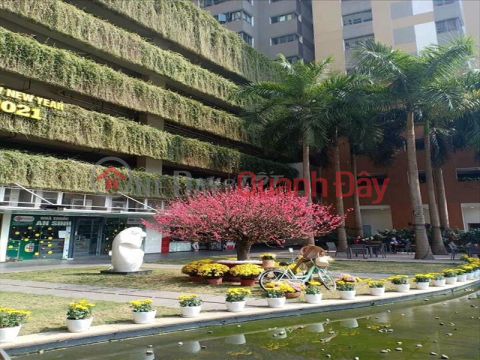 Urgent sale of TSQ MulburyLand Apartment, LOT ANGLE LOT, 89m, 2PN2VS, lake view of Viet Kieu Village, Good office Contact: 0333846866 _0