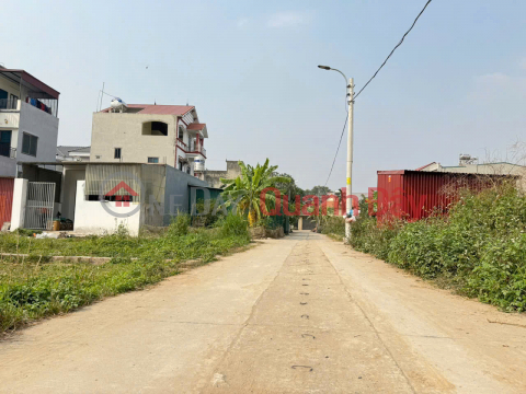 Land for sale in group 10, Quang Minh, Me Linh. Near Tue Tinh Medical and Pharmaceutical College and Industrial Park. _0