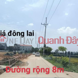 RARE ITEMS IN THE DONG LAI QUANG TIEN AREA DT 97 M MT 732 _0