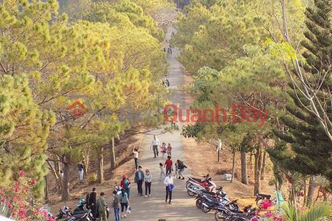 URGENT CLASSIFICATION OF LAND LOT AT BIEN HO VILLAGE SUPER CHEAP PRICE FOR FUTURE EVACUATION PLACE _0