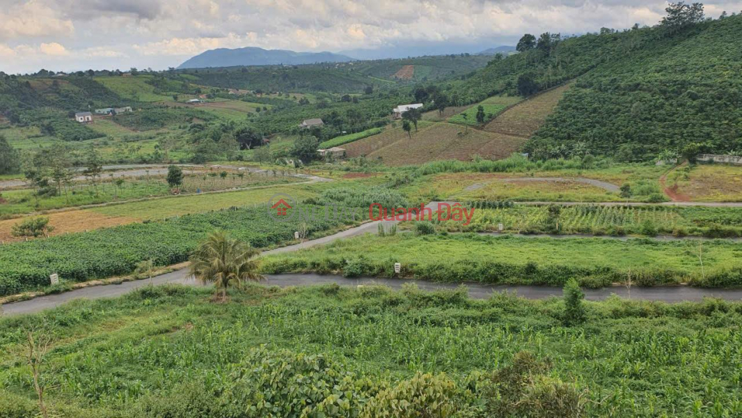 đ 1.2 Billion, Beautiful Land - Good Price - Need to Sell 3 Plots of Land in Good Location in Loc Tan Commune, Bao Lam District, Lam Dong Province