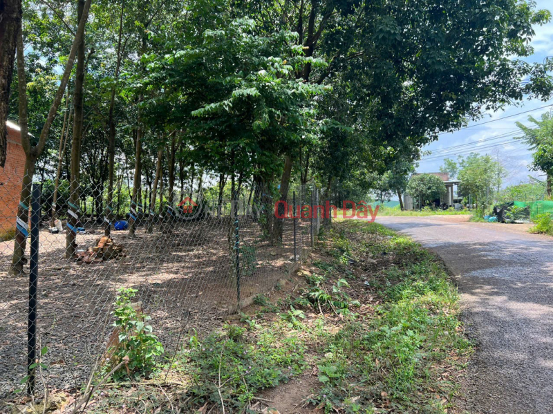 Property Search Vietnam | OneDay | Residential Sales Listings HOT HOT - NEED TO SELL LAND LOT IN Dong Tien, Dong Tien Commune, Dong Phu District, Binh Phuoc