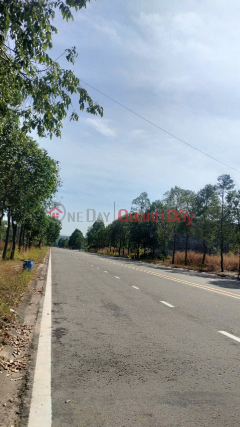 PRIME LAND – GREAT PRICE – PROFITABLE INVESTMENT - Land for Sale on Thoi Hoa Ward, Ben Cat, Binh Duong _0