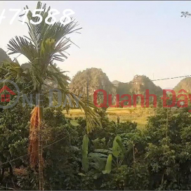 Owner renting out a house with a garden in Lac Luong commune, Phu Tho province, area 450m2 (residential land). _0