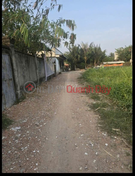 Beautiful Land - Great Price - Owner Selling Quickly in Binh My Commune, Cu Chi District, Ho Chi Minh City Vietnam, Sales, đ 2.1 Billion