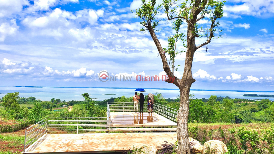 Chính chủ bán lổ lô đất view Hồ Trị An cắt giảm 1 tỷ, 1000m2 còn 1ty7 view cực đẹpb, Việt Nam, Bán | đ 1,7 tỷ