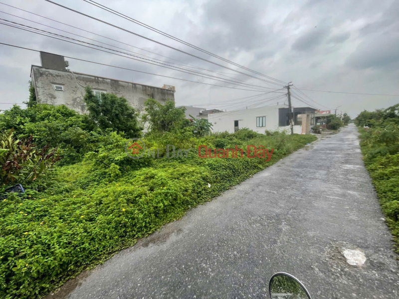 BÁN ĐẤT MẶT ĐƯỜNG NHỰA TÂN THÀNH DƯƠNG KINH – NGANG 6M HIẾM – GIÁ 1,5X TỶ ZALO 0567 222 555 Việt Nam | Bán đ 1,55 tỷ