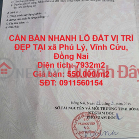 QUICK SALE OF LAND IN A GOOD LOCATION IN Phu Ly Commune, Vinh Cuu, Dong Nai _0