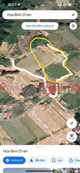Property Search Vietnam | OneDay | Residential Sales Listings, BEAUTIFUL LAND - INVESTMENT PRICE - QUICK SALE OF LAND IN GOOD LOCATION In D'Ran town, Don Duong, Lam Dong