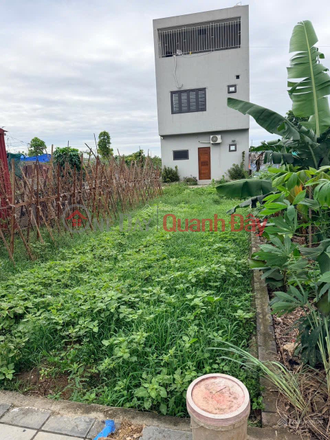 OWNER SELLING RESIDENTIAL LAND IN X7 AUCTION AREA, LO KHE, AT THE LOWEST PRICE IN THE AREA. _0