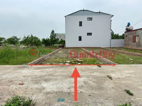 Potential golden land plot in Thanh Lam, Me Linh - Anticipating the planning of Ring Road 4 and HUD urban area _0