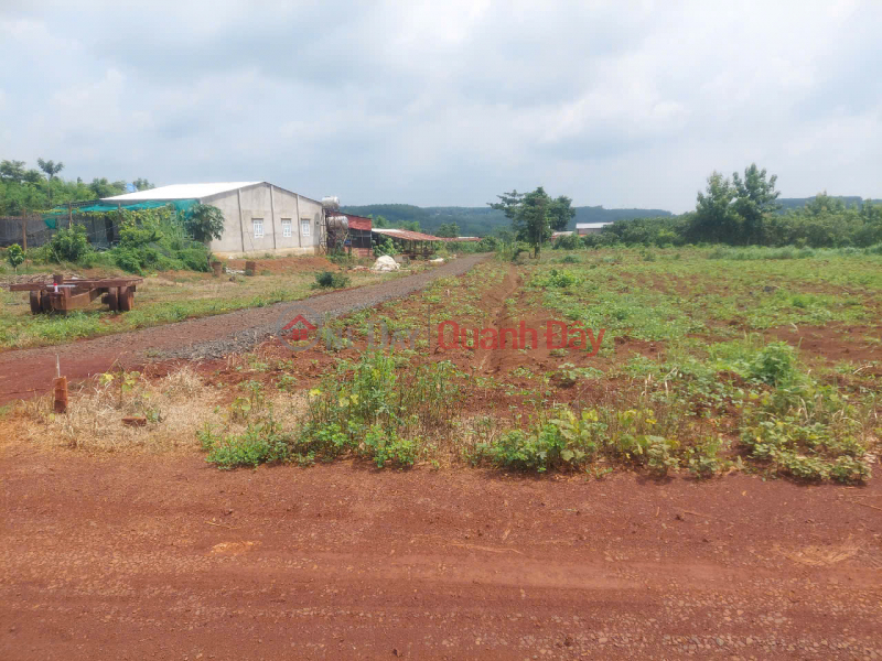 HOT! OWN BEAUTIFUL LAND - GOOD PRICE At Viet Quang Hamlet, Loc Quang Commune, Loc Ninh District, Binh Phuoc Sales Listings