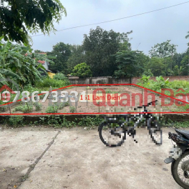 161M2 LAND FOR SALE IN LAM DIEN-CHUONG MY _0