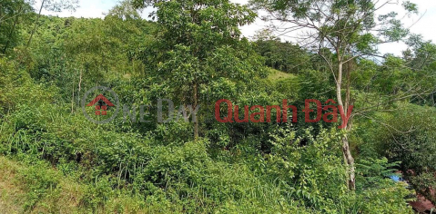 OWNER NEEDS TO SELL FAST Lot 32m Frontage Beautiful Location Da Bac District, Hoa Binh _0