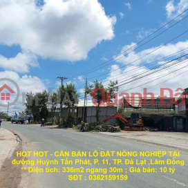 HOT HOT - CẦN BÁN LÔ ĐẤT NÔNG NGHIỆP TẠI đường Huỳnh Tấn Phát, P. 11, TP. Đà Lạt ,Lâm Đồng _0