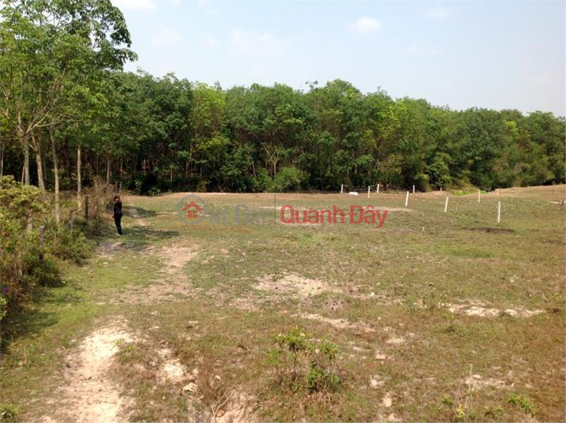 BEAUTIFUL LAND - GOOD PRICE - For Quick Sale Land Lot Prime Location in Dau Tieng district, Binh Duong province Vietnam, Sales đ 1.92 Billion