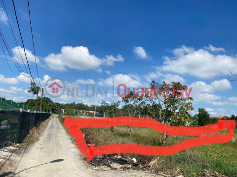 GOOD PRICE - OWNER Needs to Sell Land Lot Quickly in Binh Chanh District, Ho Chi Minh City _0