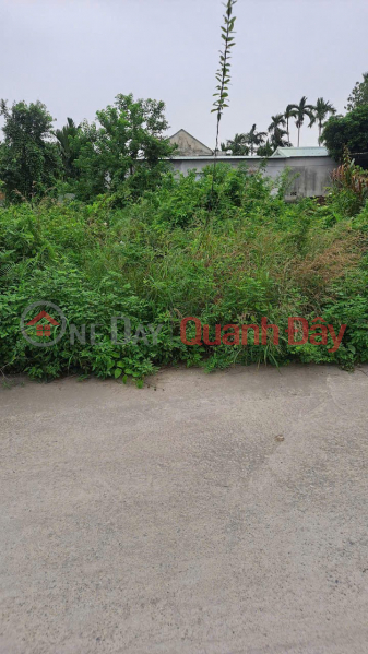 Property Search Vietnam | OneDay | Residential, Sales Listings | Rare cheap lot Quyet Tien - avoid cars only 9xx million ZALO 0567 222 555