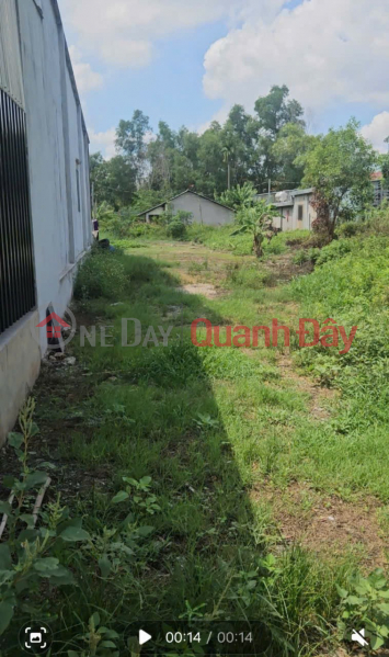 PRIME LAND - SPECIAL PRICE - OWNER SELLING QUICKLY - POTENTIAL LAND PLOT IN NHON TRACH WARD, DONG NAI CITY | Vietnam | Sales đ 2.75 Billion