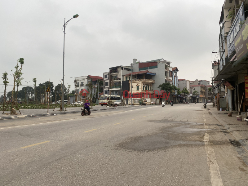 Lien Ha Dong Anh business land for sale - 15m asphalt road - green park view Sales Listings