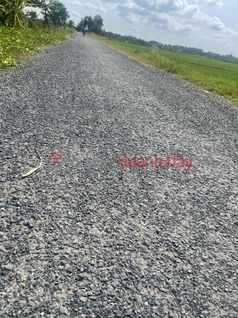 OWNER NEEDS TO SELL LAND LOT QUICKLY, Prime Location In Chau Thanh, Tra Vinh Province _0