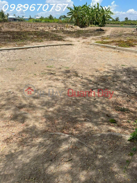 đ 2,4 tỷ | Chính Chủ Cần Bán Đất Xã Bình Phục Nhứt, Chợ Gạo, Tiền Giang, DT 2.003 m², giá đầu tư