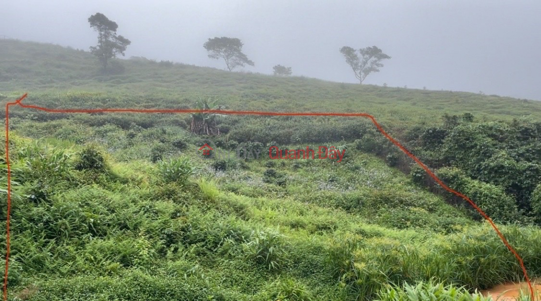 ĐẤT ĐẸP – GIÁ ĐẦU TƯ - CẦN BÁN LÔ ĐẤT VỊ TRÍ ĐẸP TẠI Phường Xuân Trường - Đà Lạt, Lâm Đồng Niêm yết bán